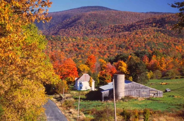 What Are the Best Things Families Can Do in Western Massachusetts